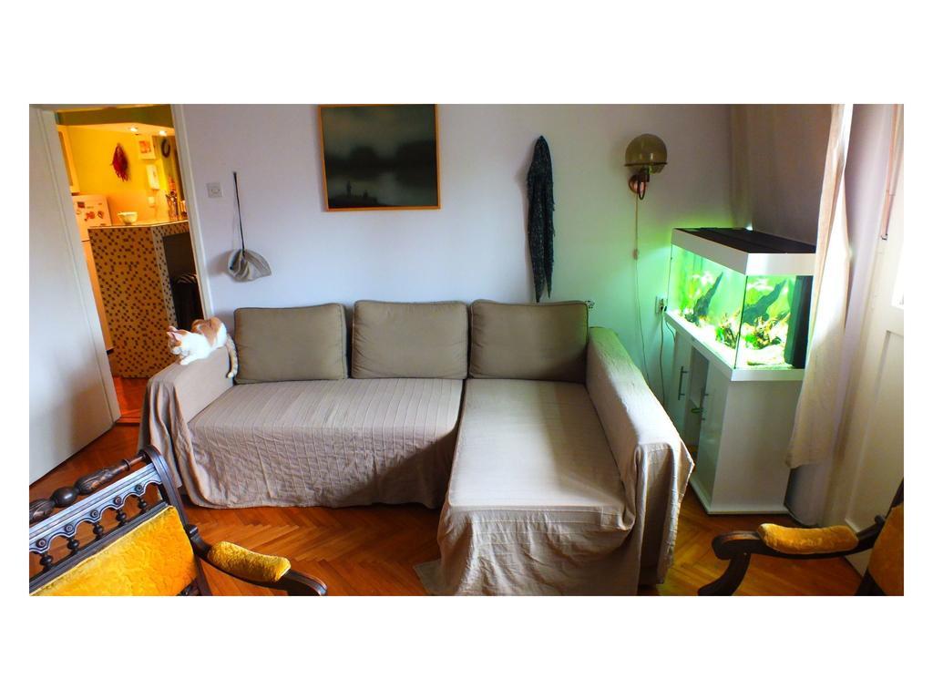 B&B Girasole โนวีซาด ห้อง รูปภาพ